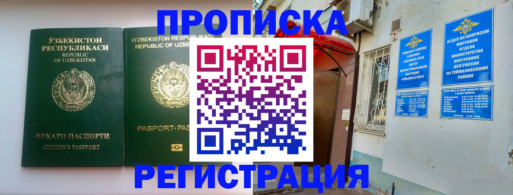 где прописаться в Шебекино